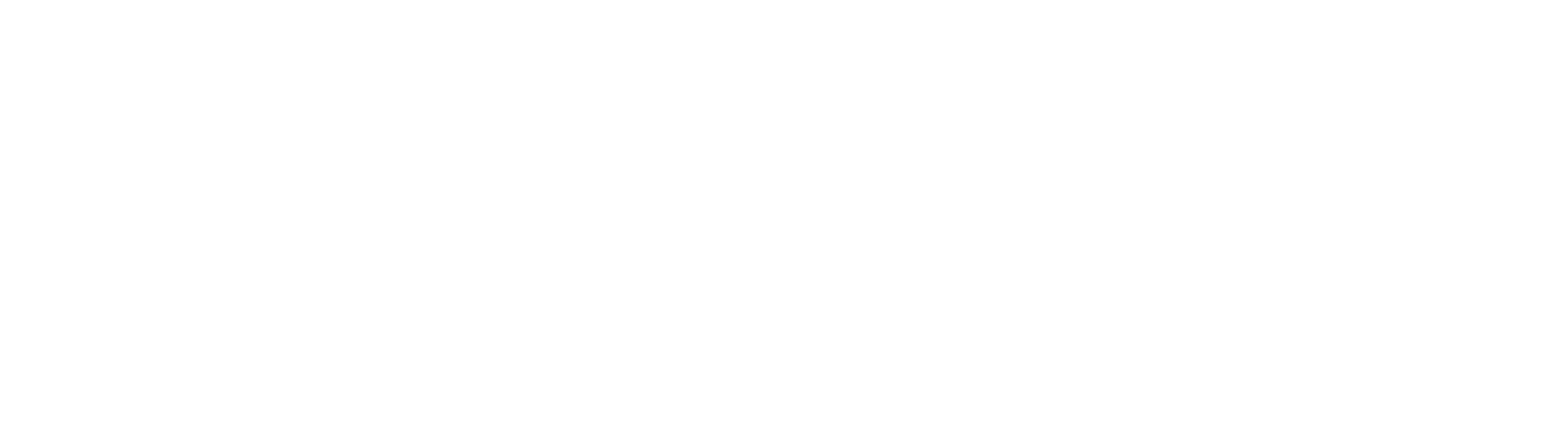 SKINBRO logo